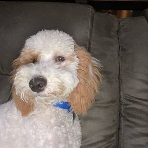 Meet your Posher, Marina